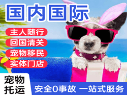 东极机场快运国际宠物托运 【国